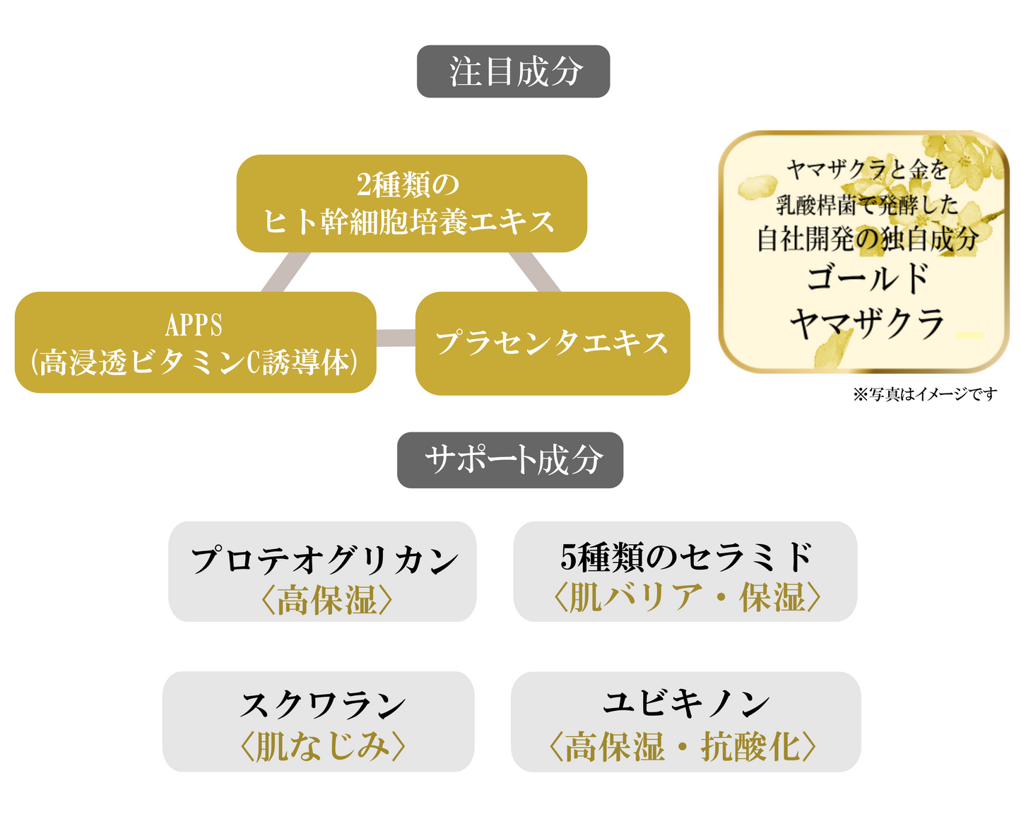 HSCモイスチュアライジングクリーム