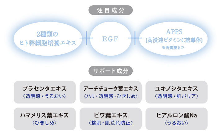 ワールドイズマインジュービランスの注目成分とサポート成分です。